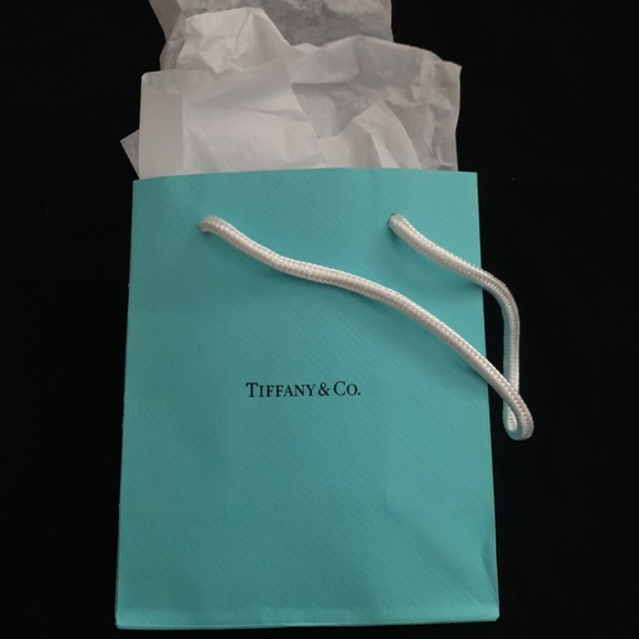 Tiffany Gift Bag - Picture 2 of 2